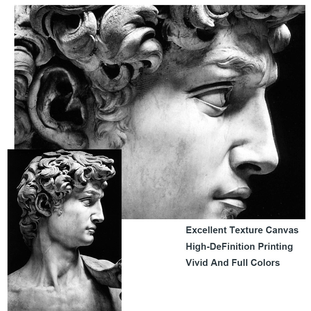 DAVID CANVAS PRINT