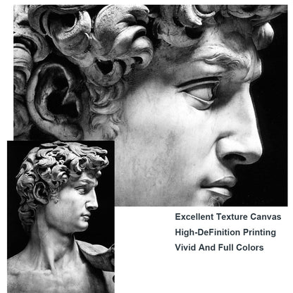 DAVID CANVAS PRINT